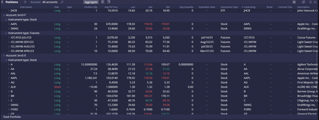 Positions: All Accounts + Aggregate
